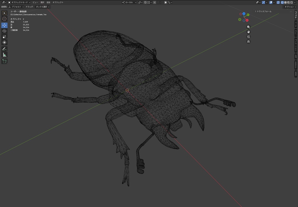 【3Dモデル】コクワガタ(雌) / Dorcus rectus Female(PBRテクスチャ・フルセット)