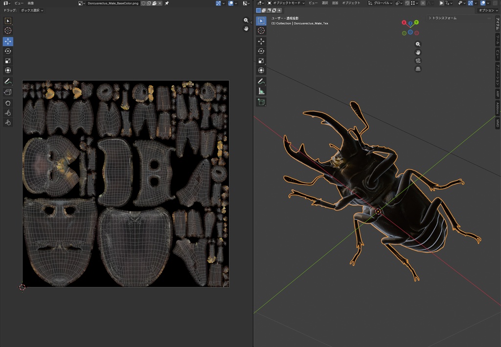 【3Dモデル】コクワガタ(雄) / Dorcus rectus Male(PBRテクスチャ・フルセット)