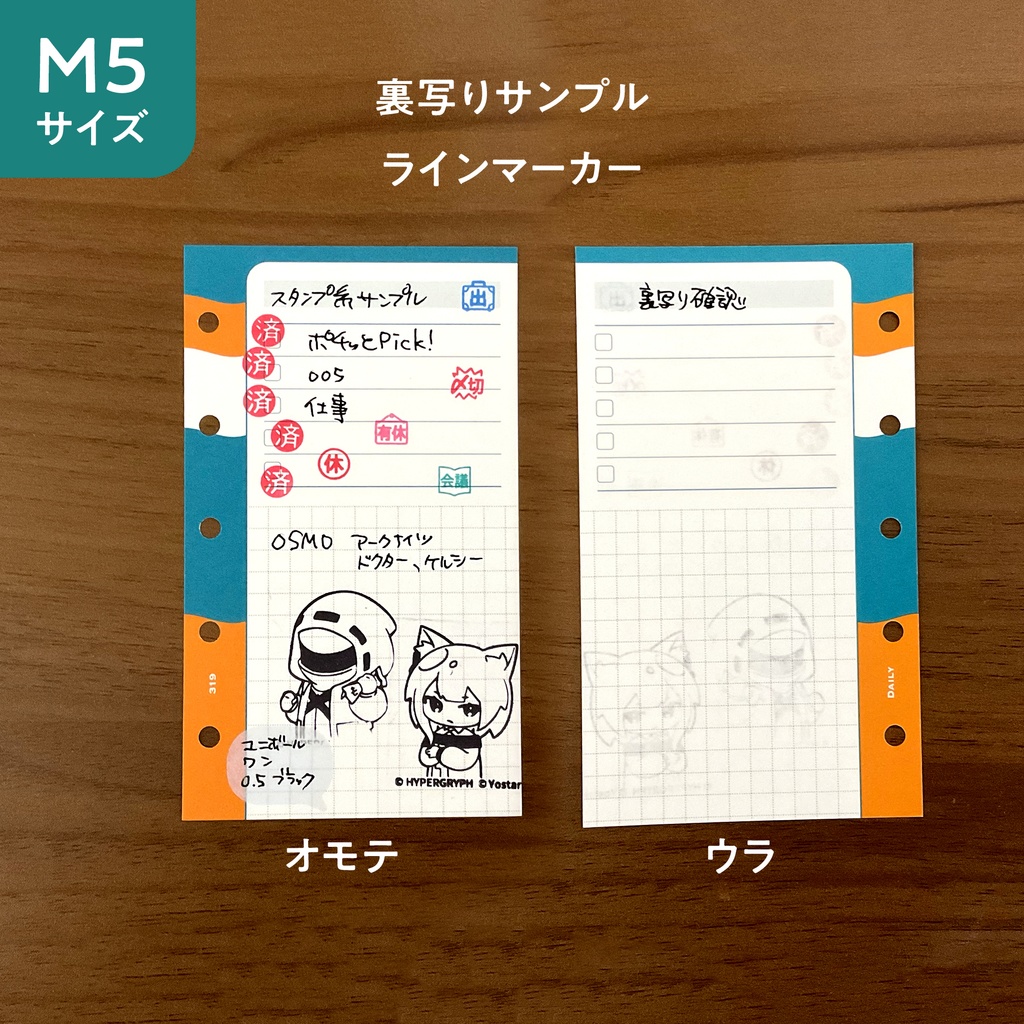 【2025年11月17日~12月21日通販】M5サイズ デイリーリフィル