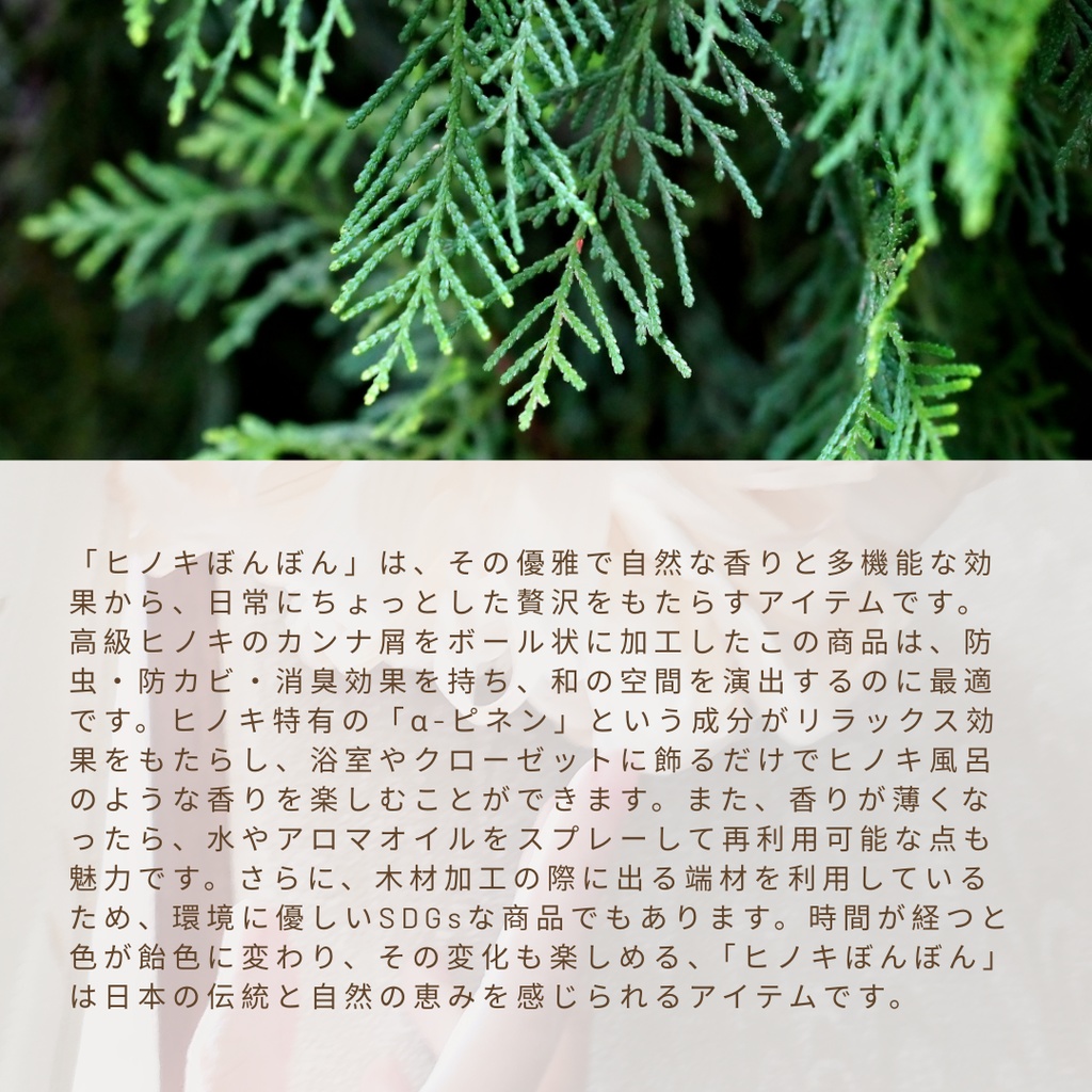 ヒノキぼんぼん