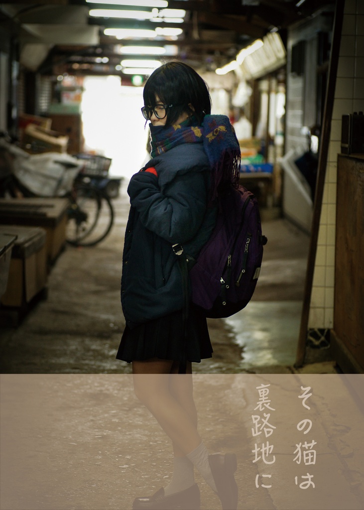 その猫は裏路地に