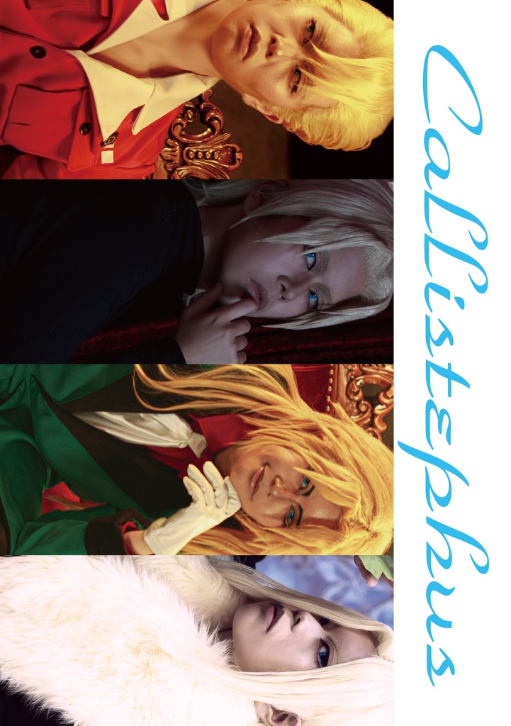 Callistephus（クリックポスト配送）