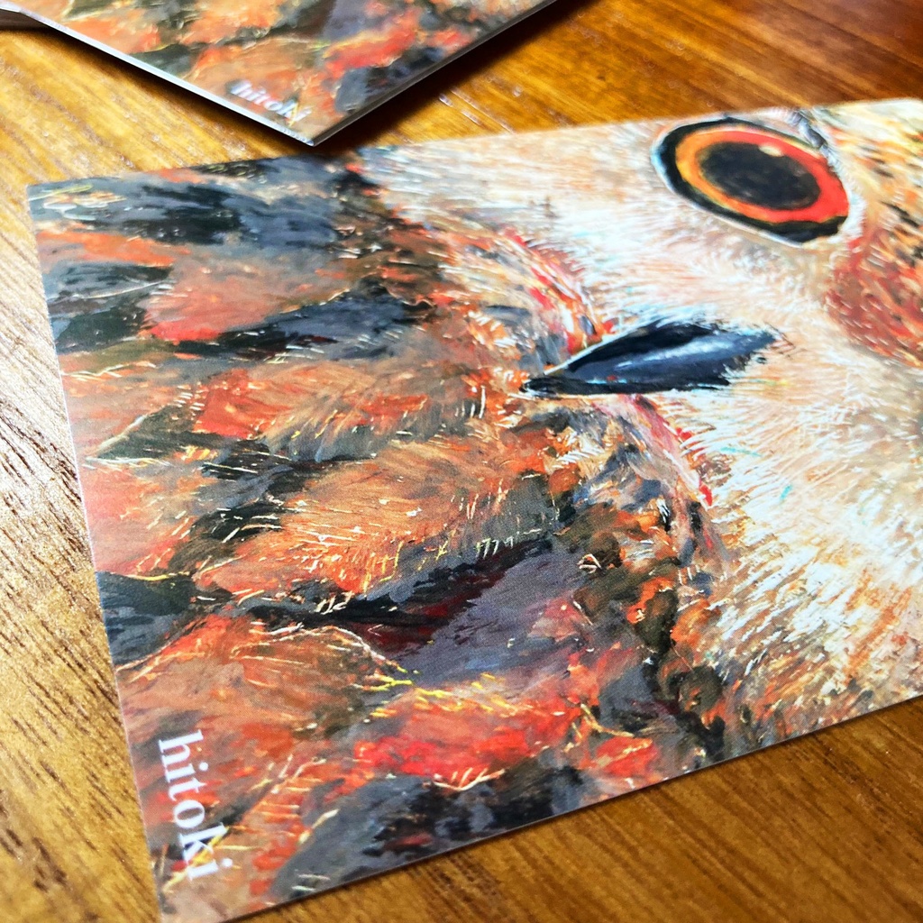 【わーい☆どうぶつの正面顔ポストカード】ふくろう