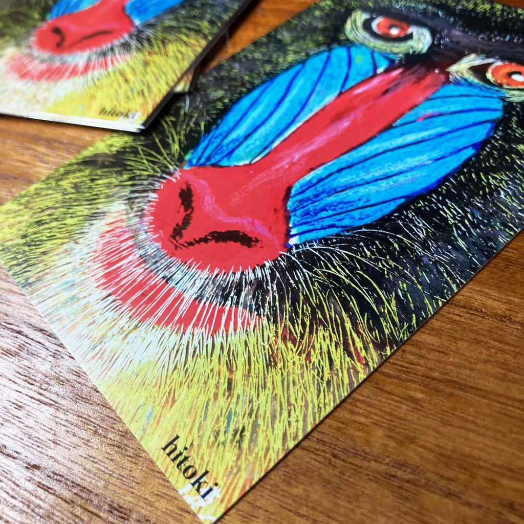 【わーい☆どうぶつの正面顔ポストカード】マンドリル