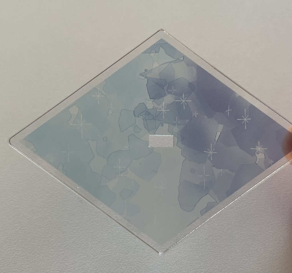 AI次元レイグレ&TΑMΑ猫アクリルスタンド ※匿名配送