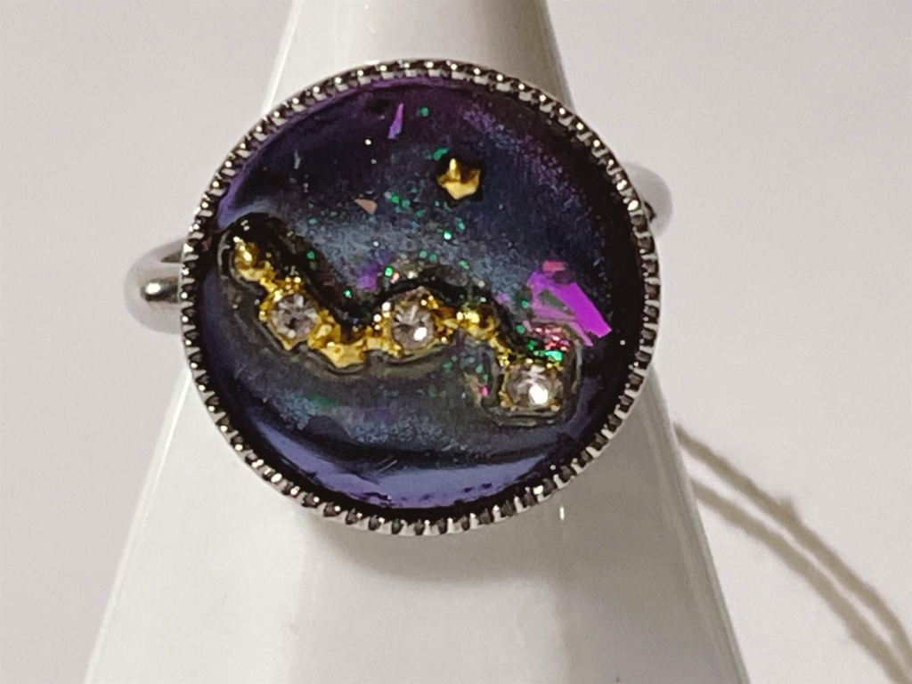 十二星座の指輪
