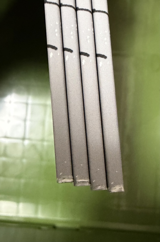 ※B品※【Lobotomy漫画】悪人