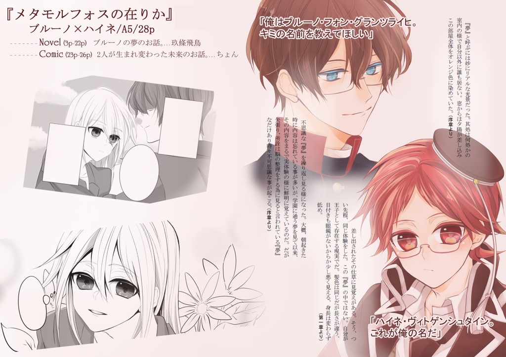 メタモルフォスの在りか【ブルハイ】