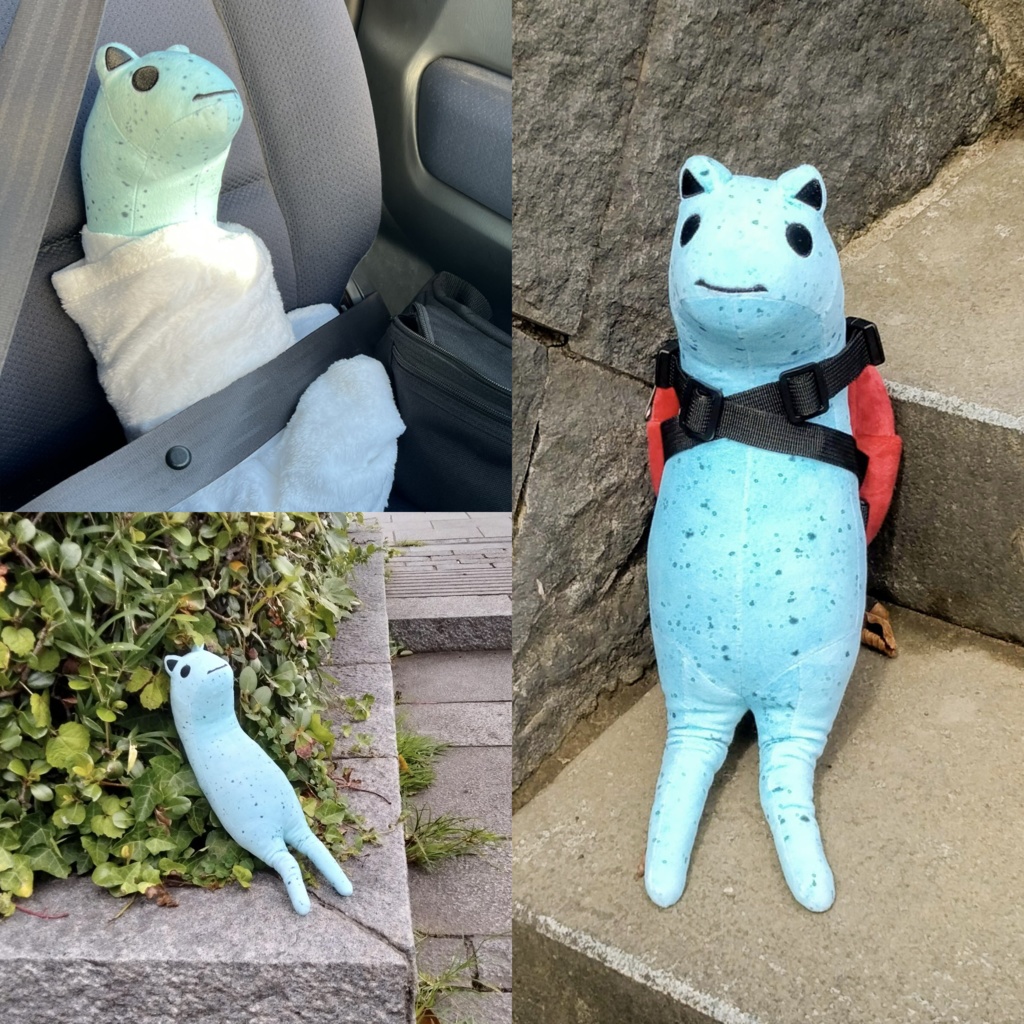 ぬいぐるみAkyo #あきょぬい