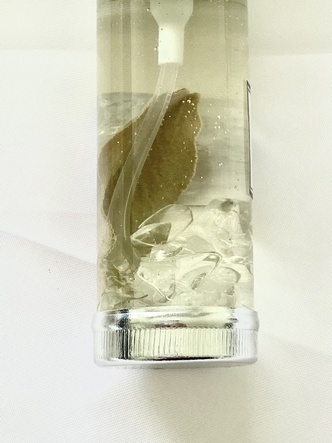 簡易浄化!えりすお手製くりありんぐうぉーたー✨