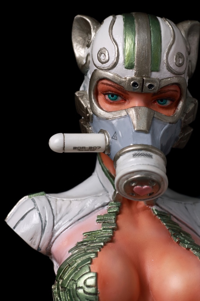 マンスリーGK2020年8月号【バイオレンス海女さん:ナオミ】Monthly Garage Kit August issue【Violent Ama Naomi】