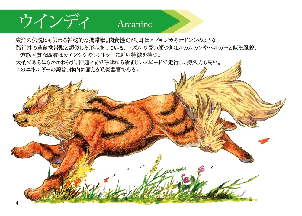 Wonder in the POCKET