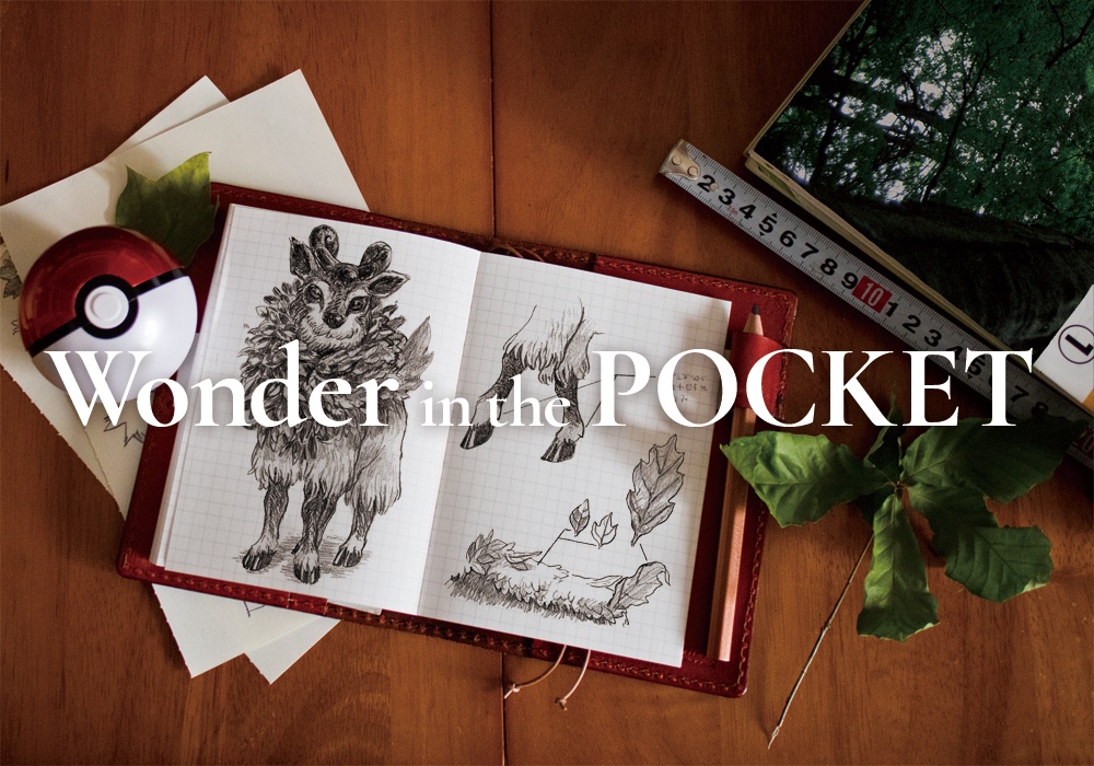 Wonder in the POCKET
