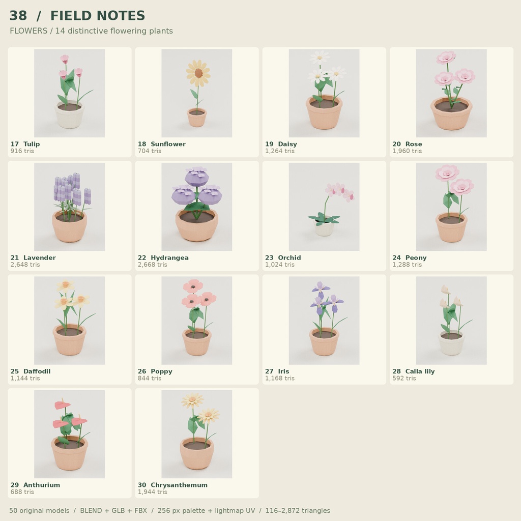 【ローポリ3Dモデル50点】観葉植物・花・樹木・草花セット FIELD NOTES Botanical 50|BLEND・FBX・GLB同梱