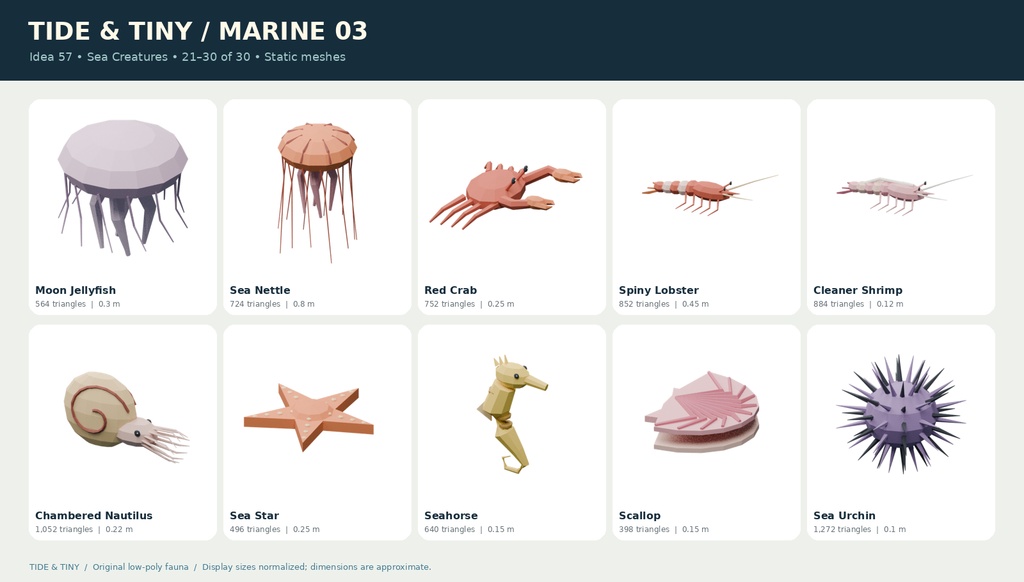 【ローポリ3Dモデル55点】海の生物30種+昆虫・小さな生物25種 TIDE & TINY|BLEND・FBX・GLB同梱