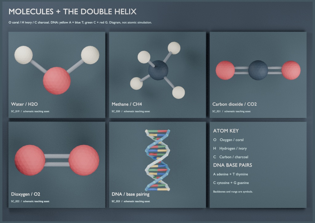 【ローポリ3Dモデル24点】教育・プレゼン用 科学図解 臓器6・地球と惑星12・分子4・DNA・太陽系 Science Cabinet|BLEND・FBX・GLB同梱