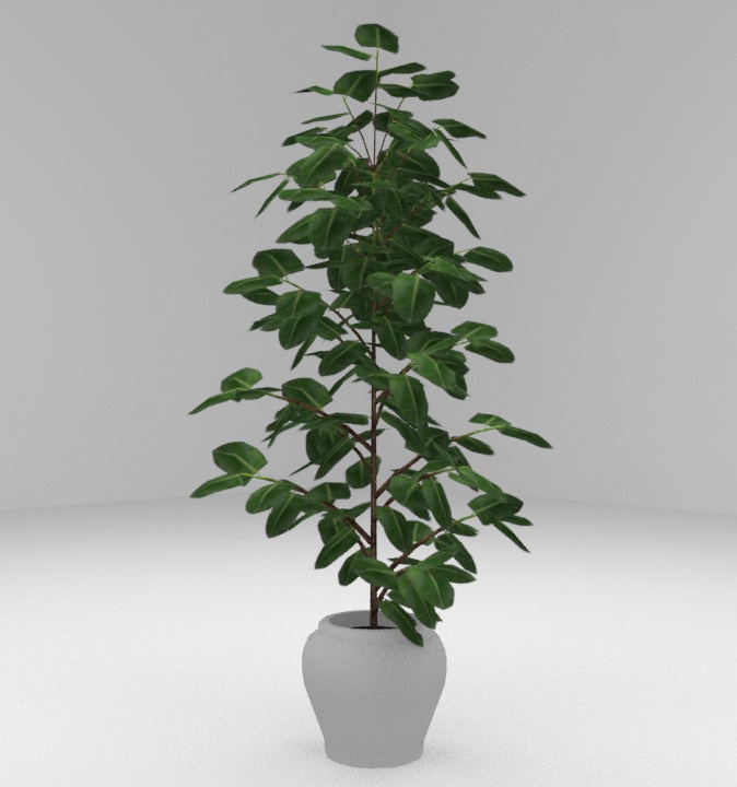 観葉植物_A