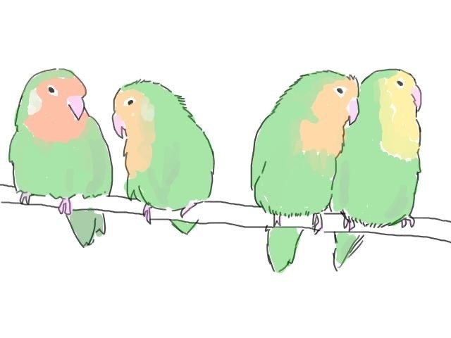 ボタンインコさんのiPhoneケース