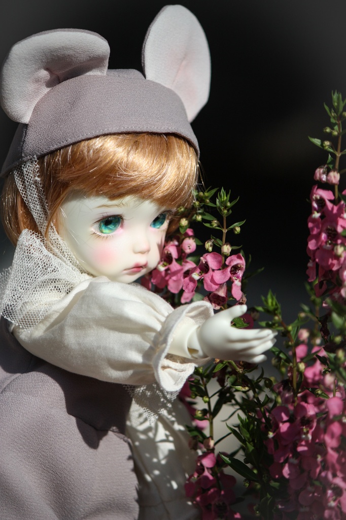 (iMda30着用)ねずみオールインワン&ブラウスセット