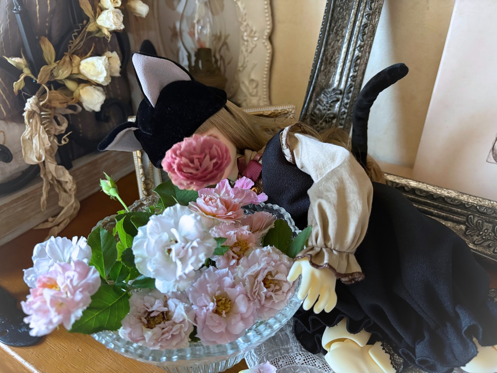 黒猫オールインワンセット(ブラウスおよび靴下は付きません)