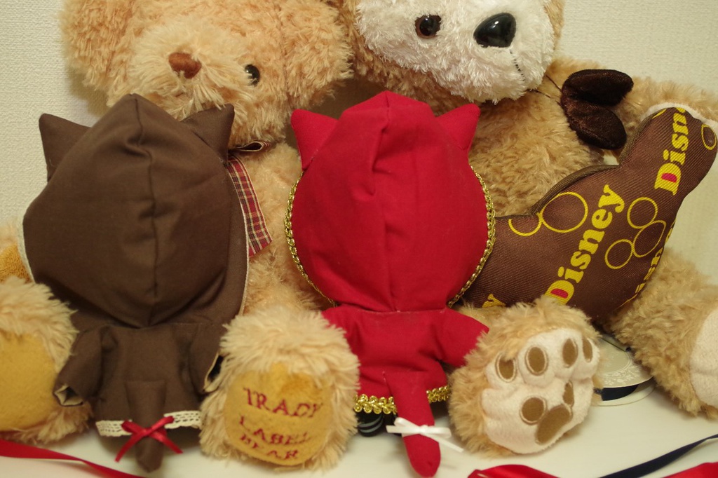 ぬいっこネコ耳パーカー