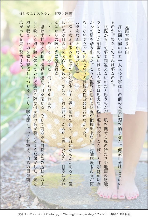 【安心BOOTHパック】ほしのこレストラン