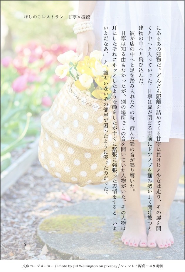 【安心BOOTHパック】ほしのこレストラン