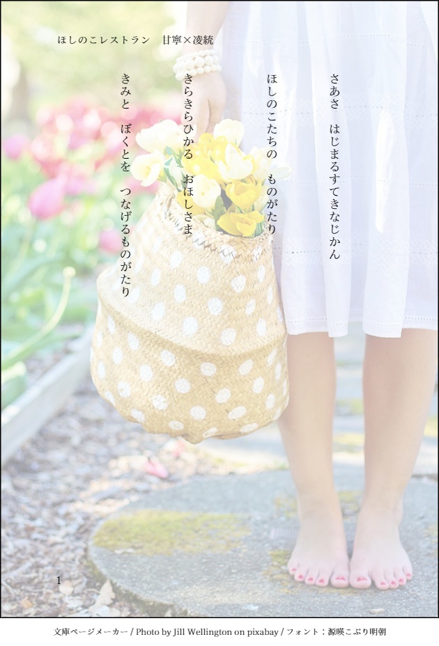 【安心BOOTHパック】ほしのこレストラン