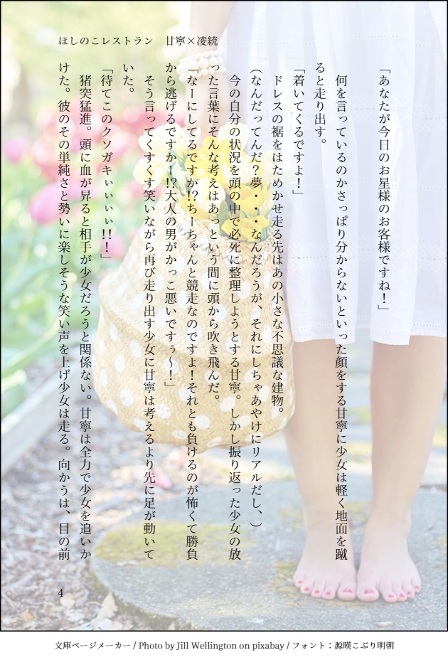 【安心BOOTHパック】ほしのこレストラン