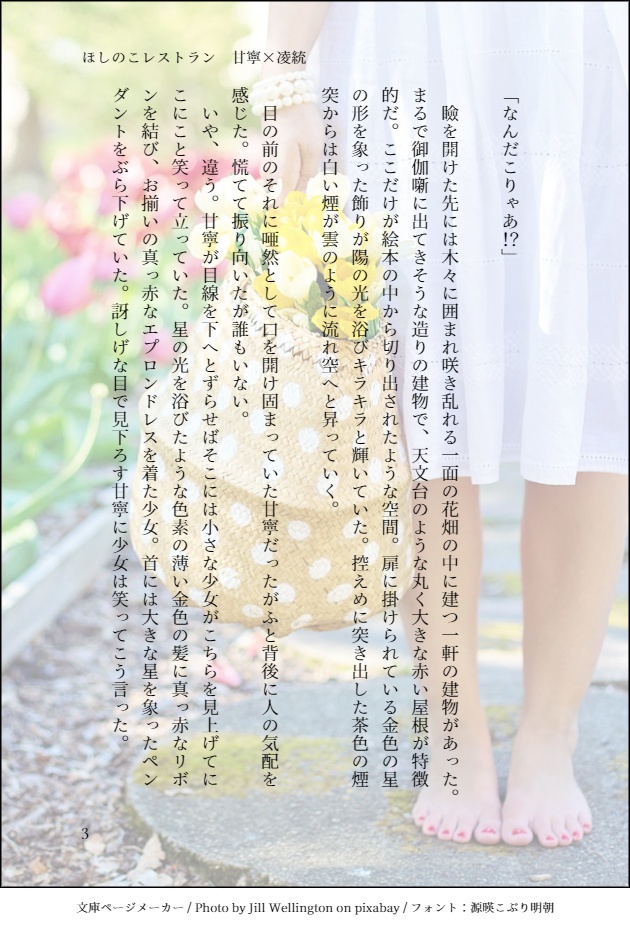 【安心BOOTHパック】ほしのこレストラン