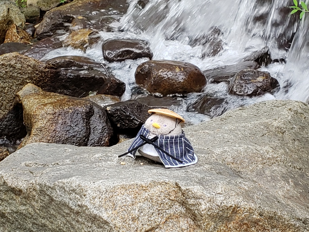 ちゅん(もち)旅装束セット※2月18日更新