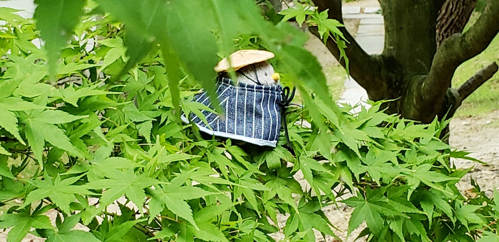 ちゅん(もち)旅装束セット※2月18日更新