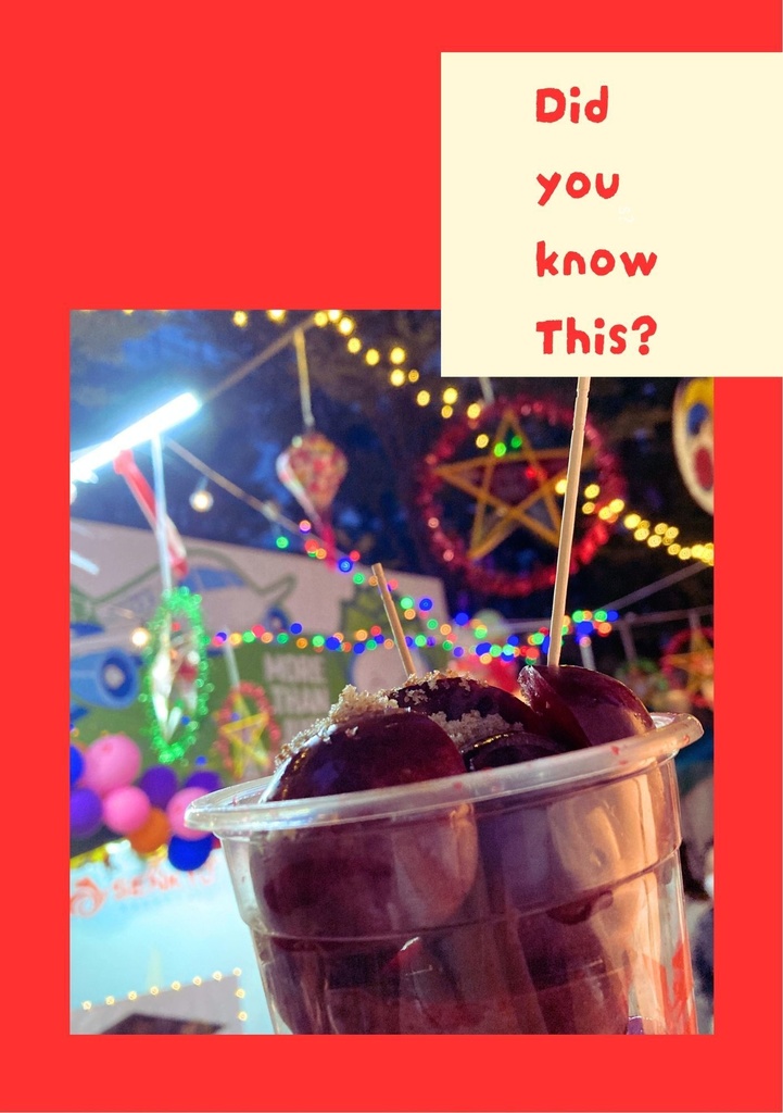 ZINE『Did you know This?』