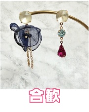 中王区(乙統女、無花果、合歓、仄仄)イメージイヤーアクセサリー