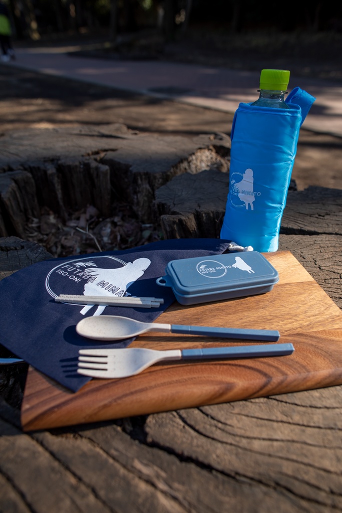 双葉湊音 春のおでかけセット【CeVIO FeSTA 8】