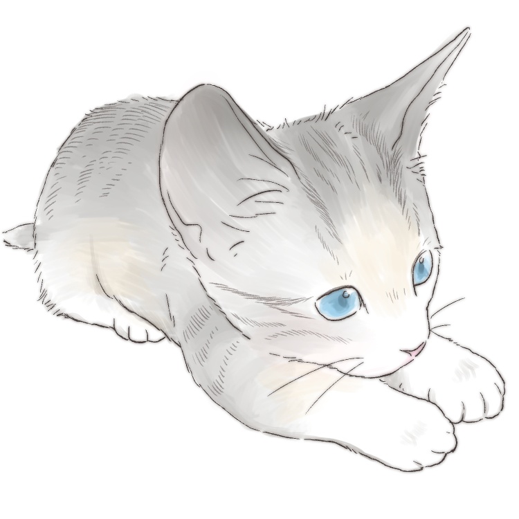 【漫画素材】ねこポーズ集有料版