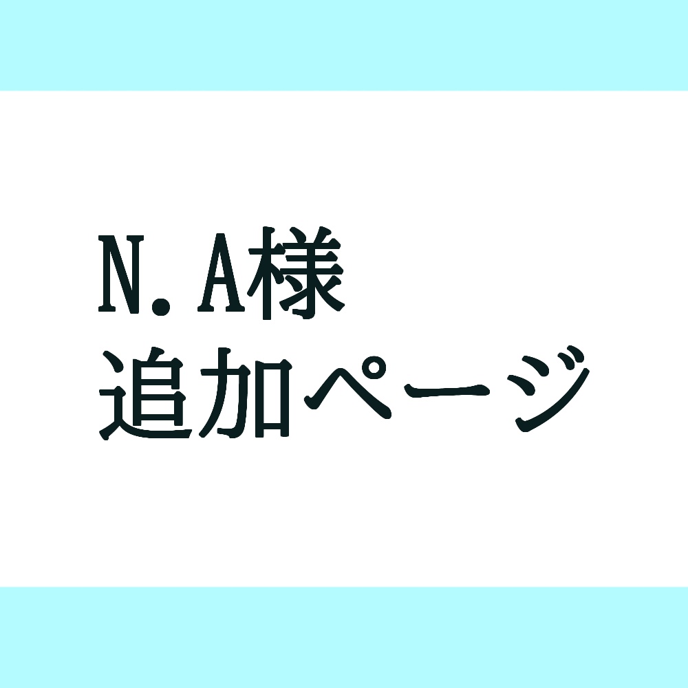 N.A様　追加ページ