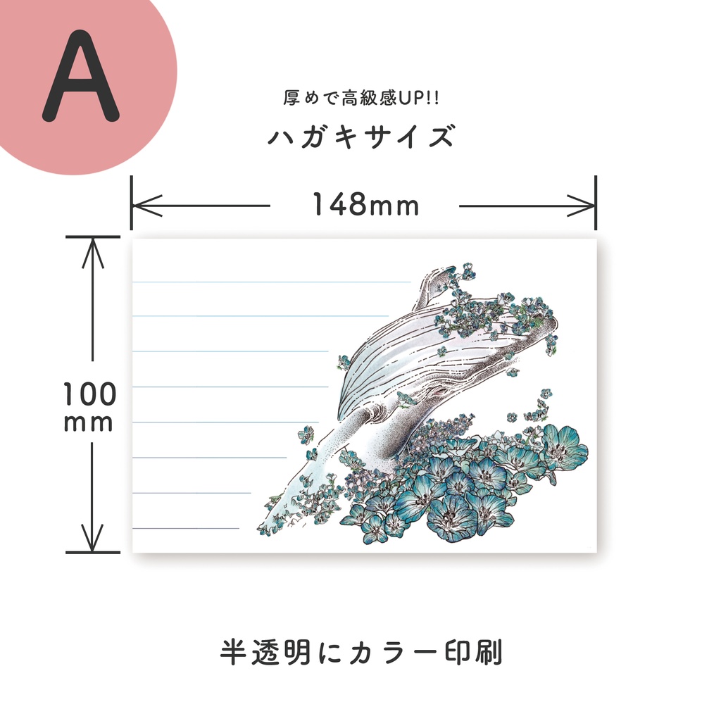 半透明の手紙と便箋のセット2種