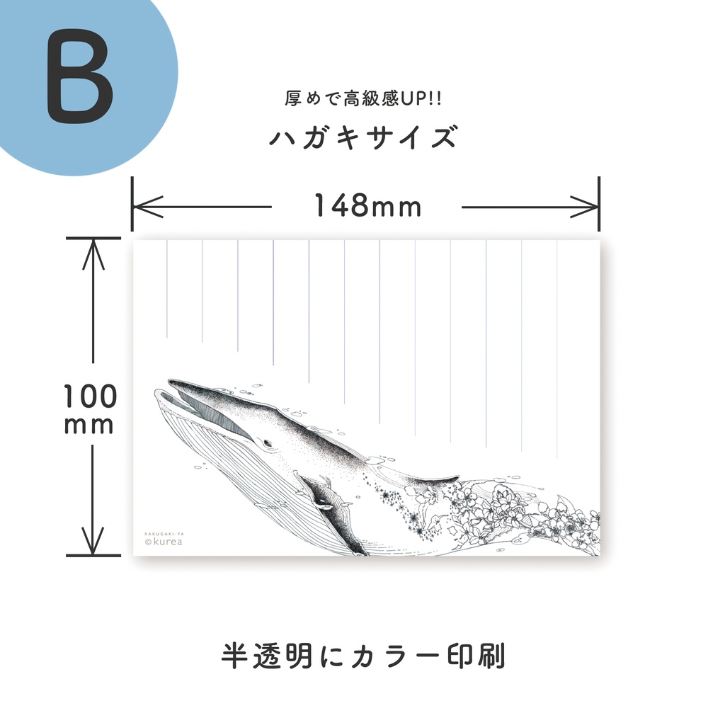 半透明の手紙と便箋のセット2種