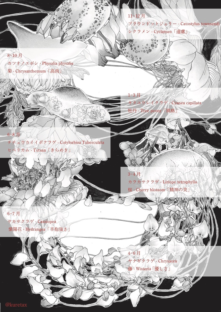 りくのノート、うみのノート(A5)