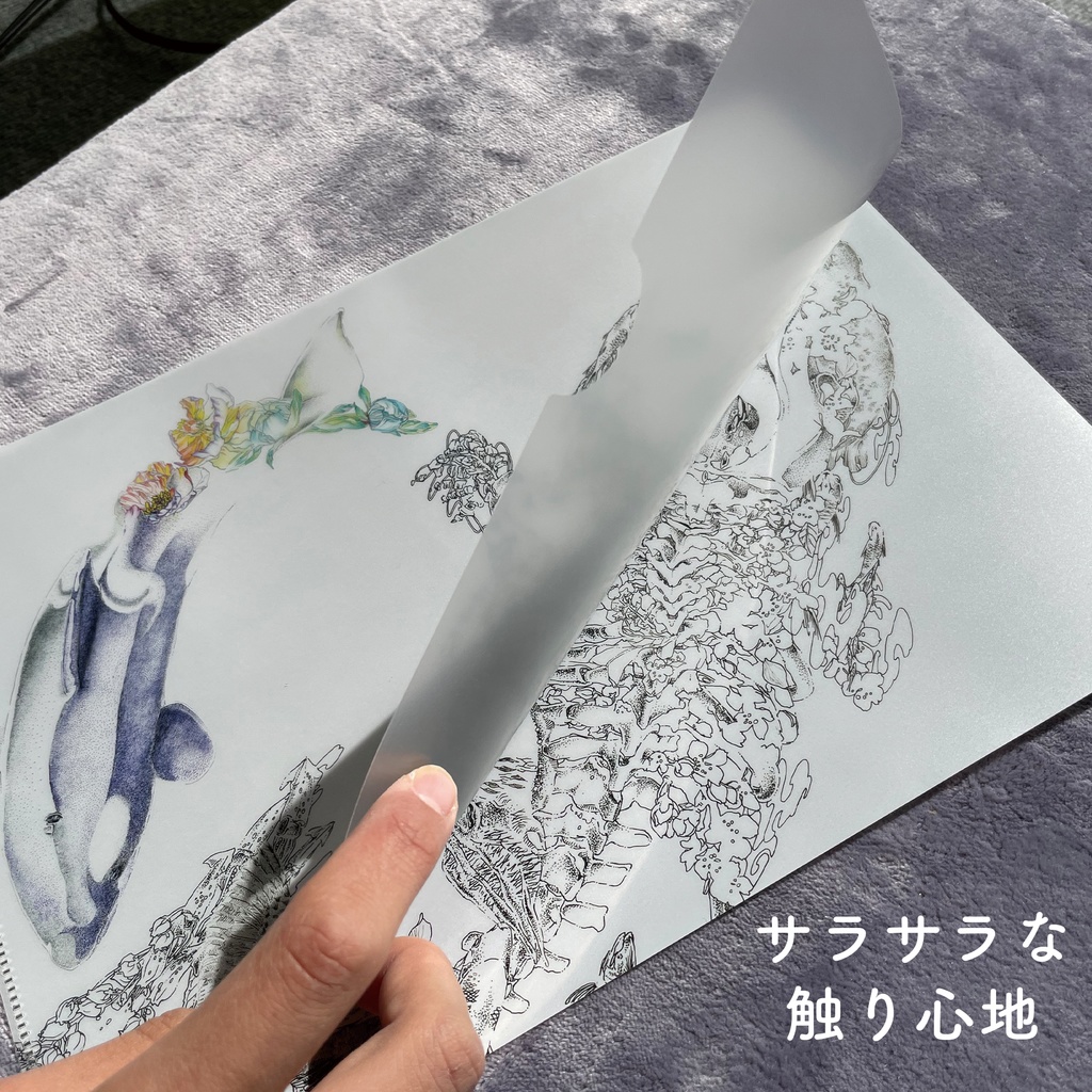 変化するクリアファイル/A4