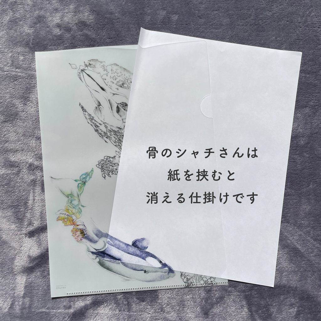 変化するクリアファイル/A4