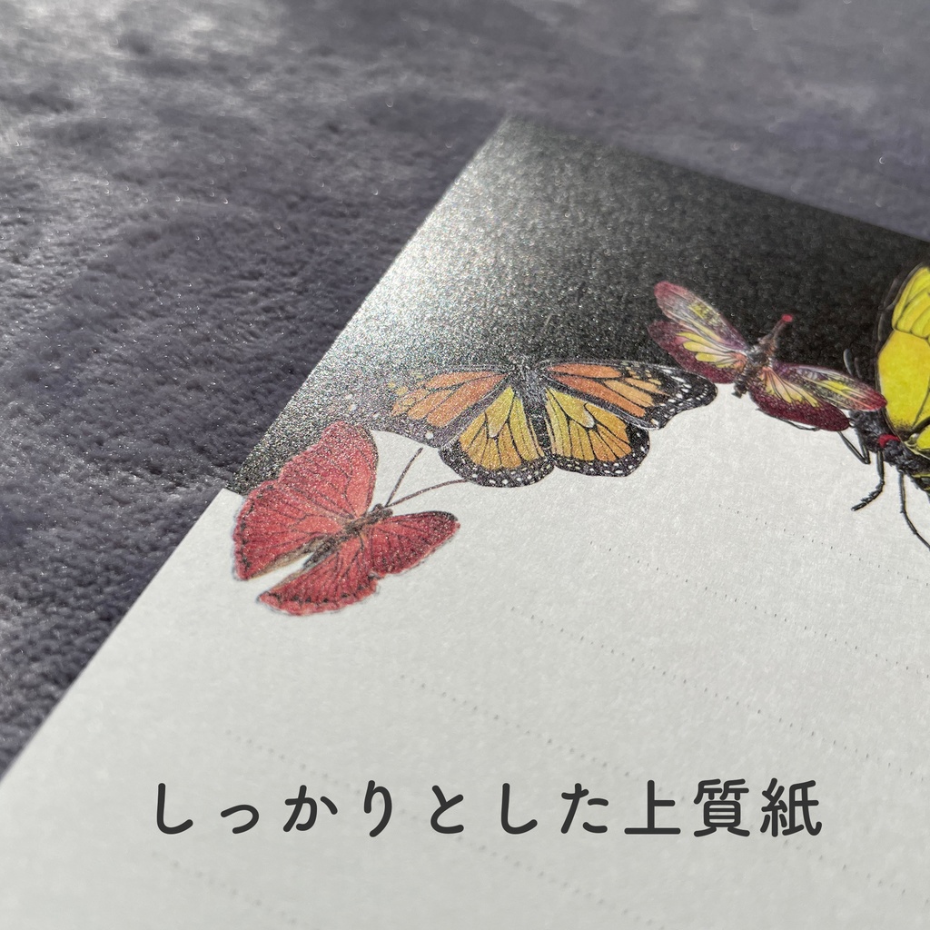 海と陸の便箋セット/B5