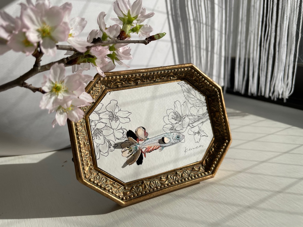 春のめだか/ミニ原画