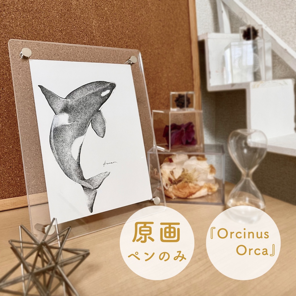 Orcinus orca/中サイズ原画 - kurea's collection room - BOOTH