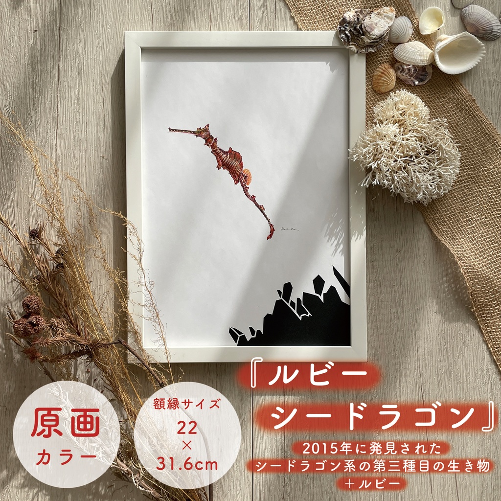 ルビーシードラゴン/A4原画