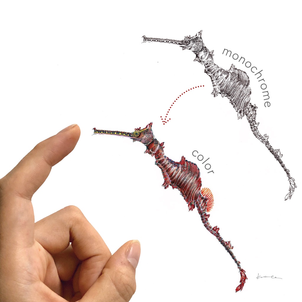 ルビーシードラゴン/A4原画