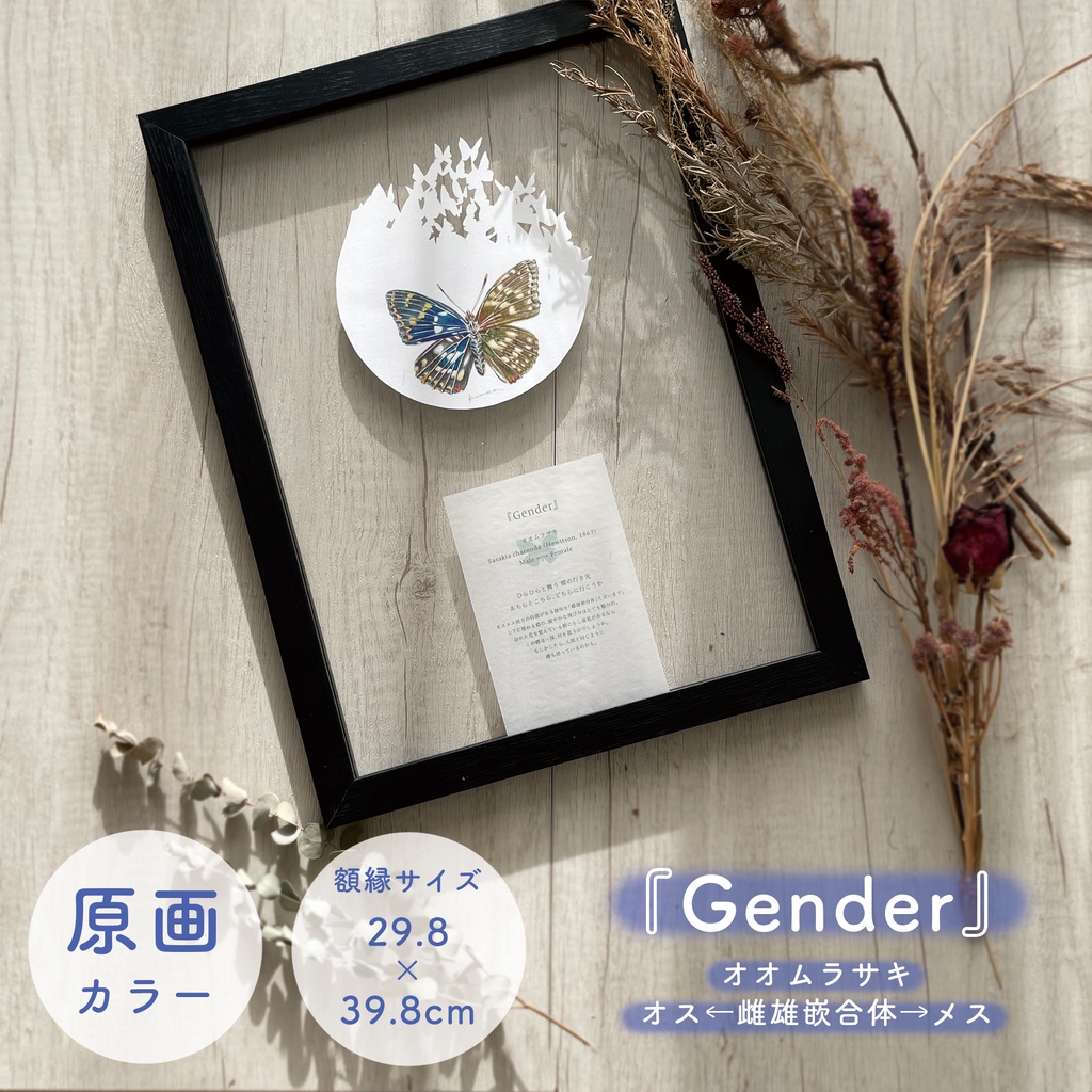 Gender/原画A4以上サイズ