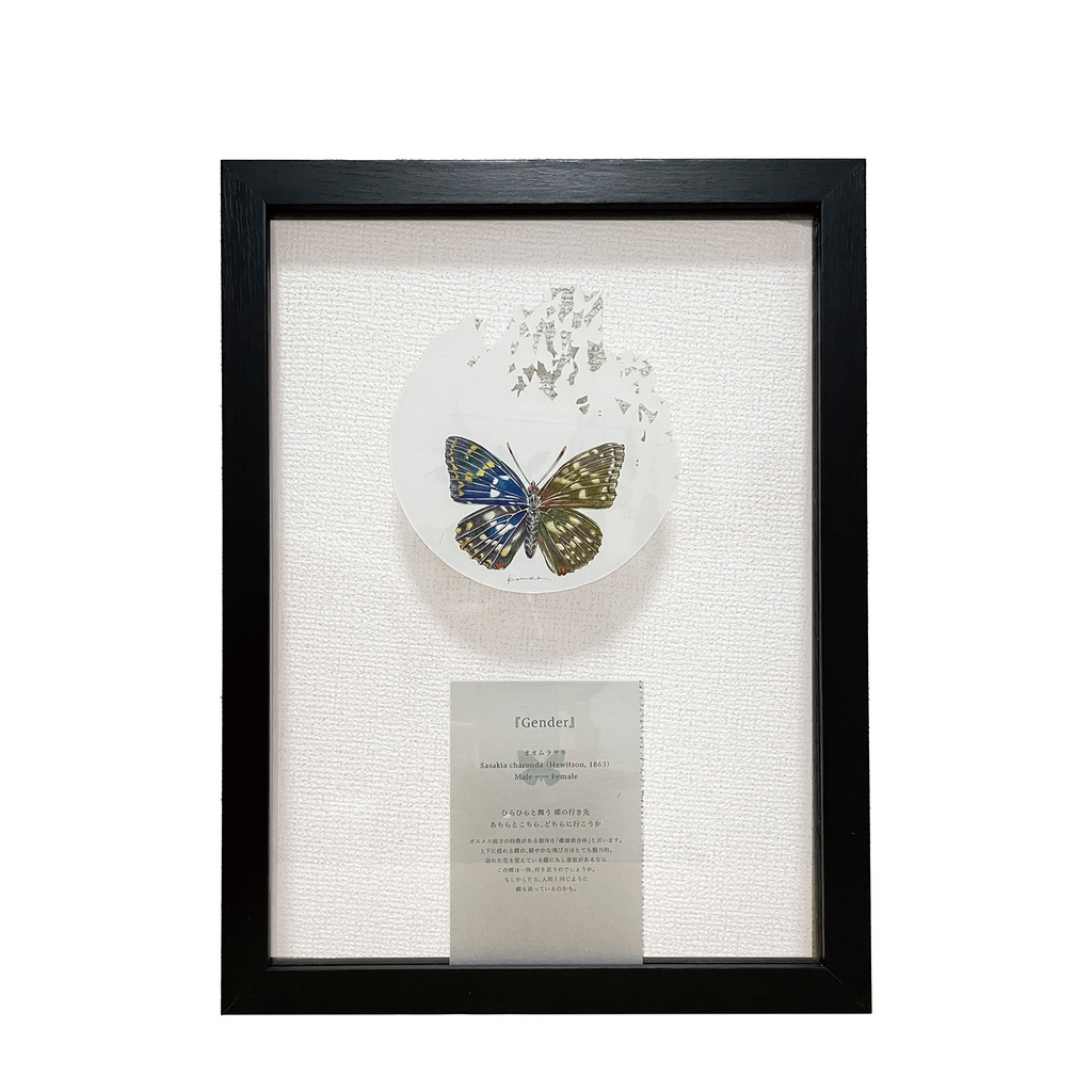 Gender/原画A4以上サイズ