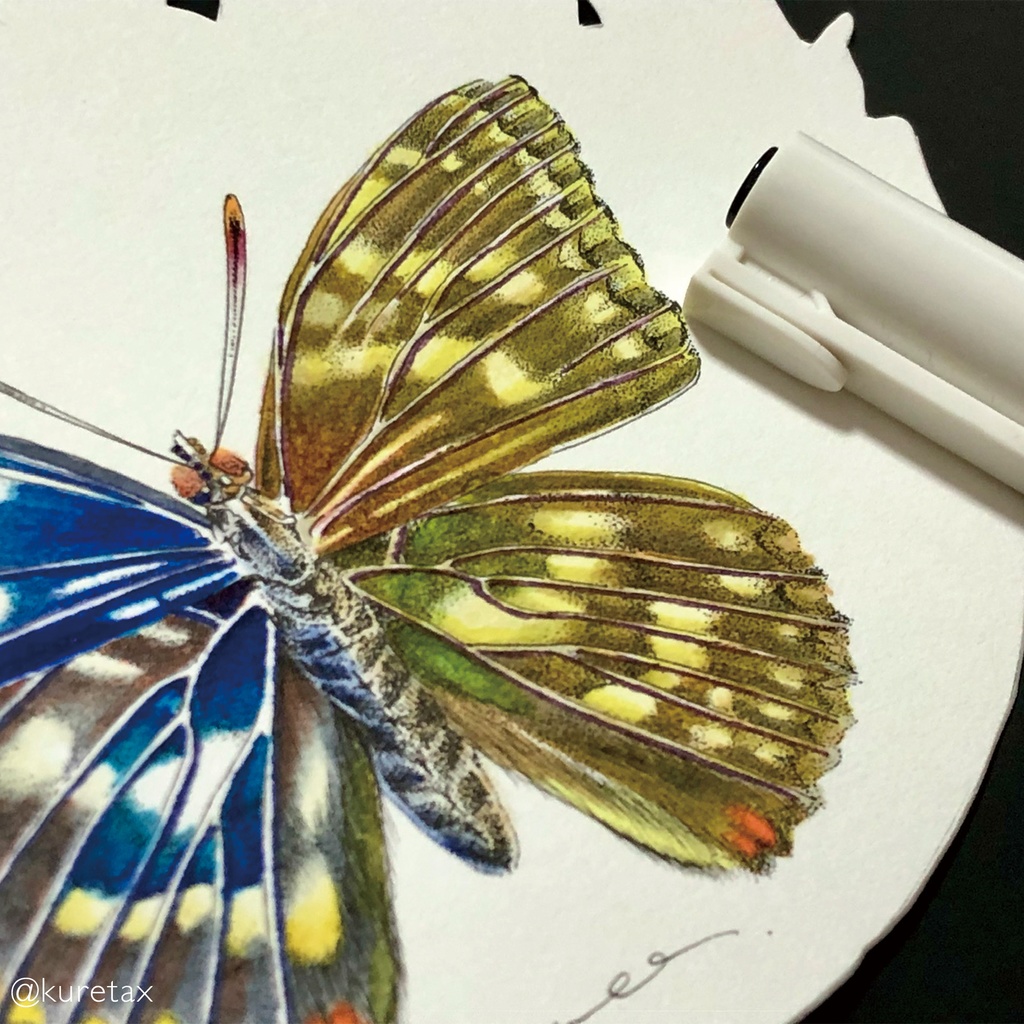 Gender/原画A4以上サイズ